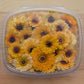 Fresh Edible Flowers - Calendula, Apricot
