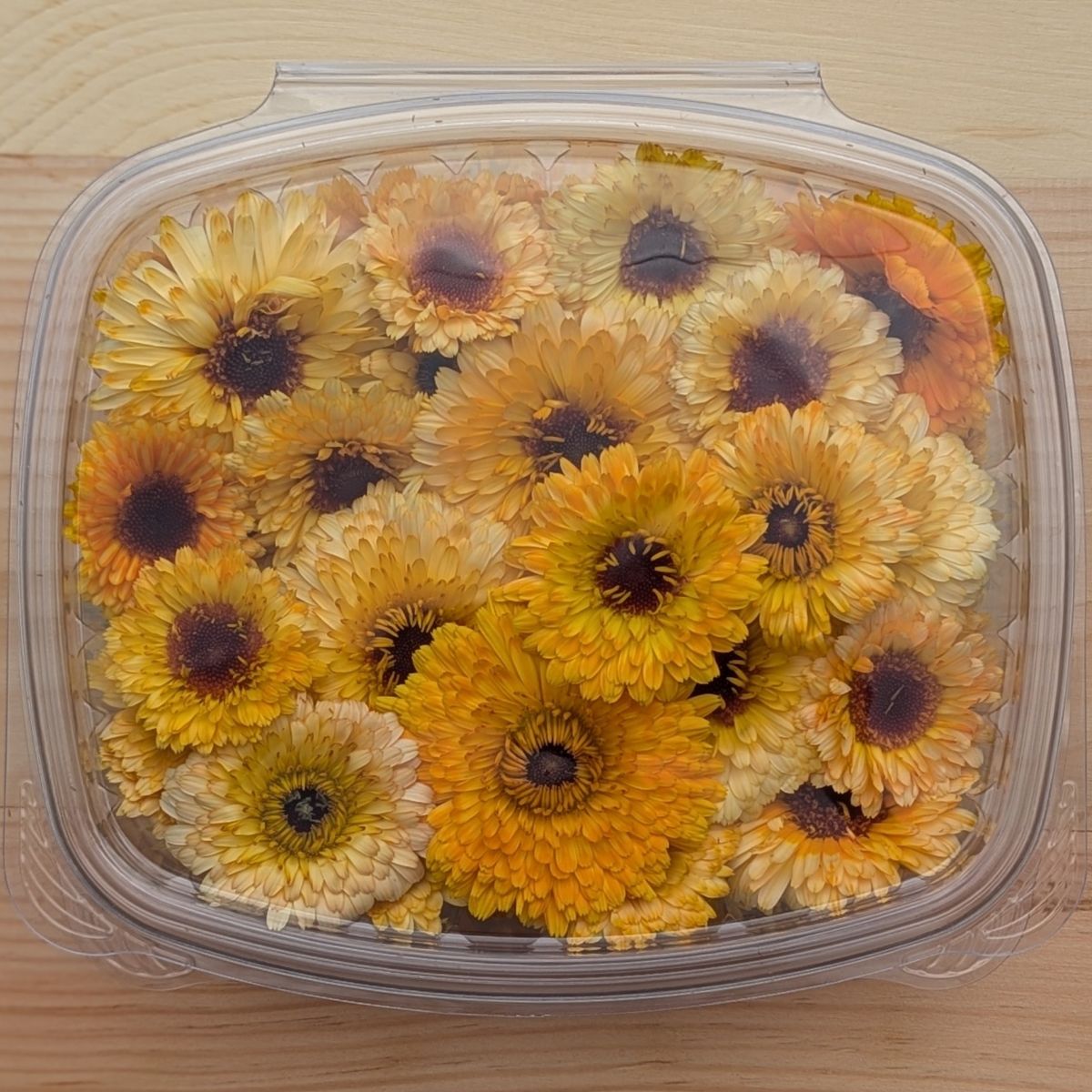 Fresh Edible Flowers - Calendula, Apricot