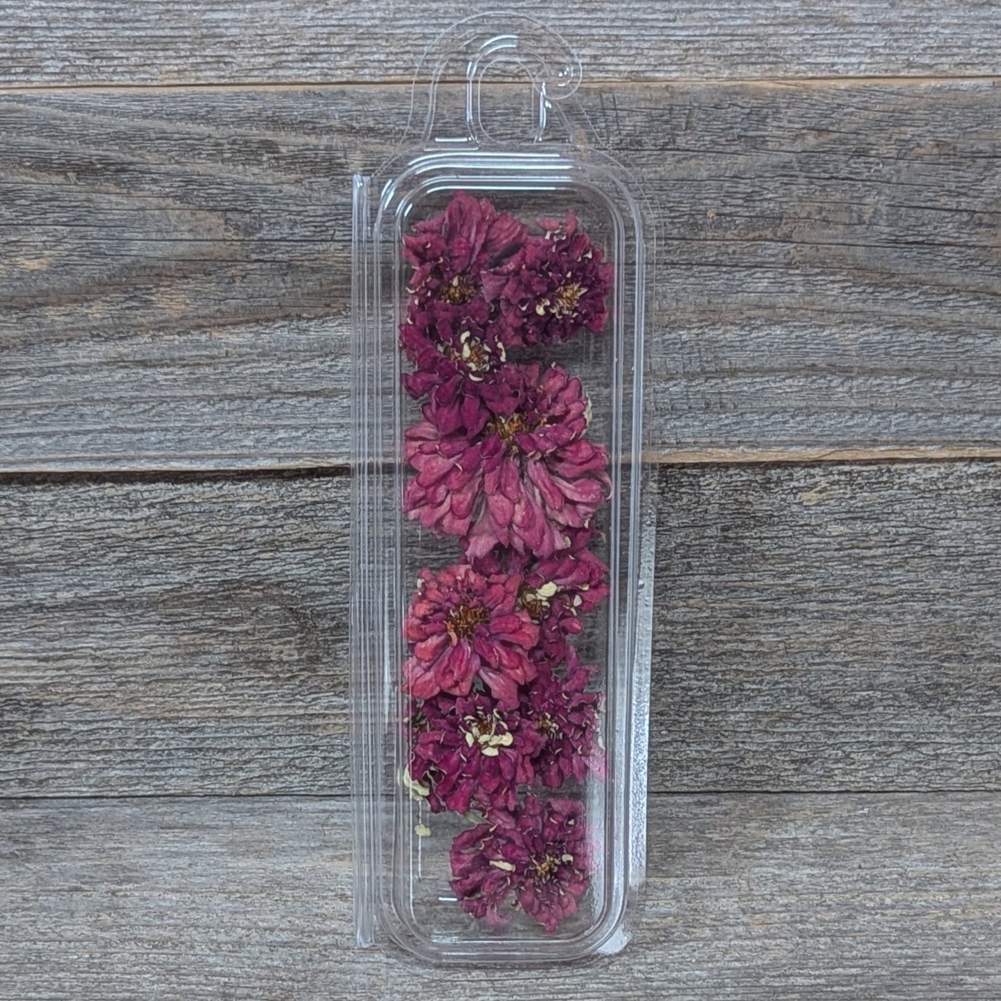 Edible Zinnias for Cake Decorating, Burgundy Purple