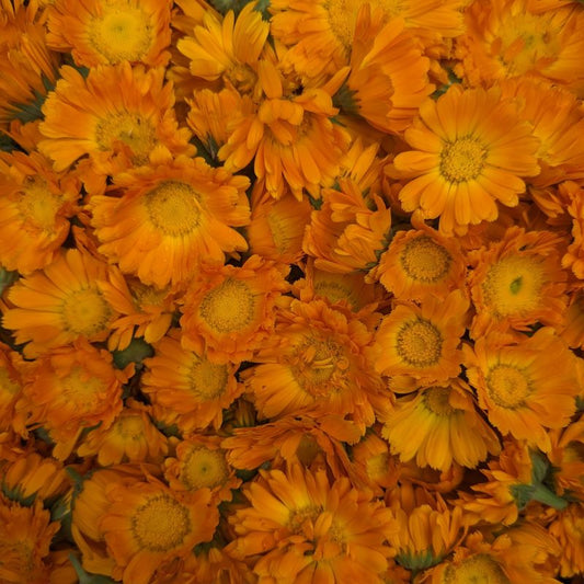 Fresh Edible Flowers - Calendula, Orange