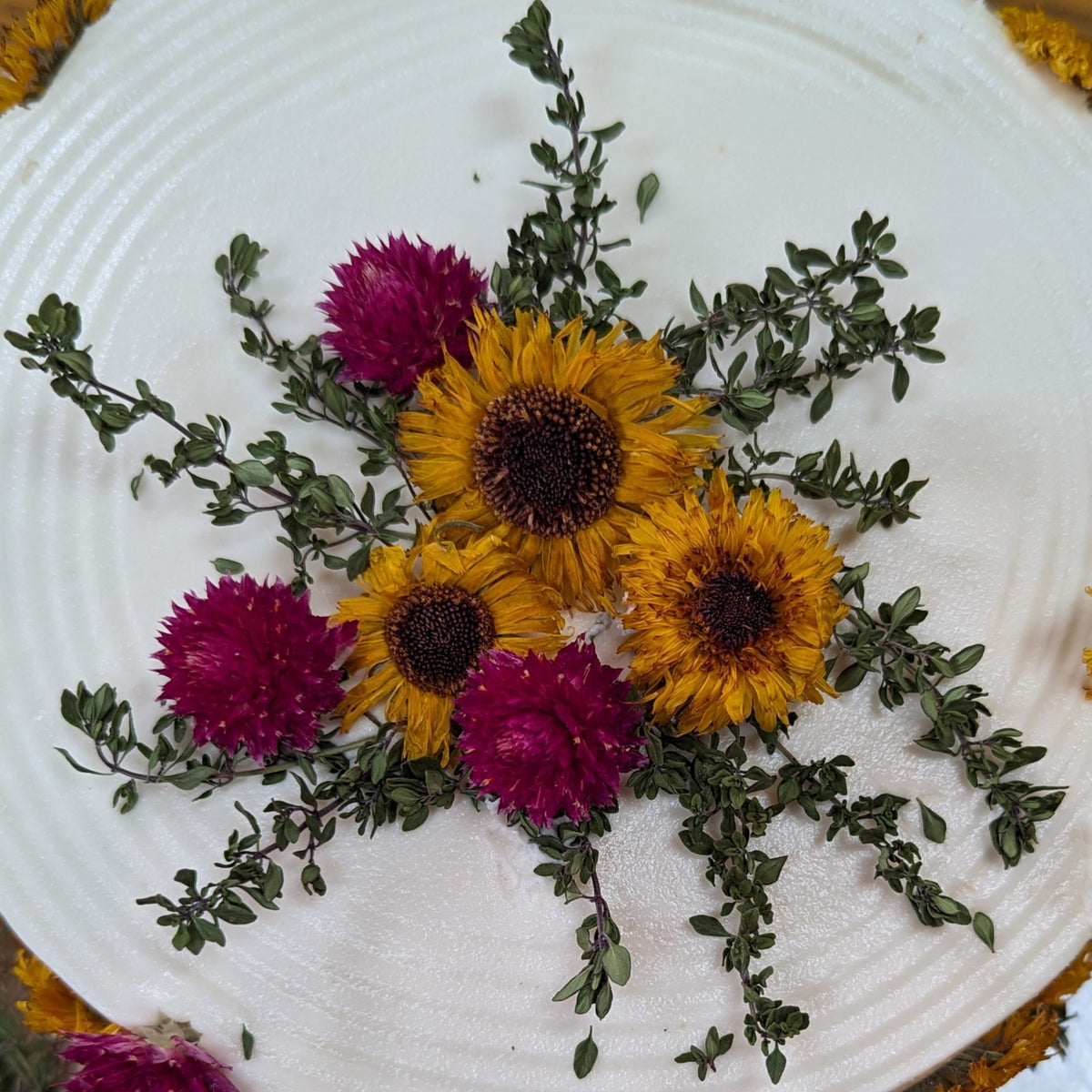 Dried Edible Flowers - Gomphrena, Carmine