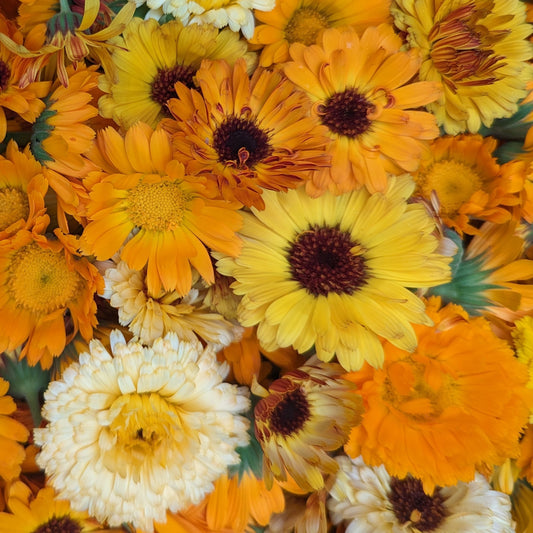 Fresh Edible Flowers - Calendula, Mixed