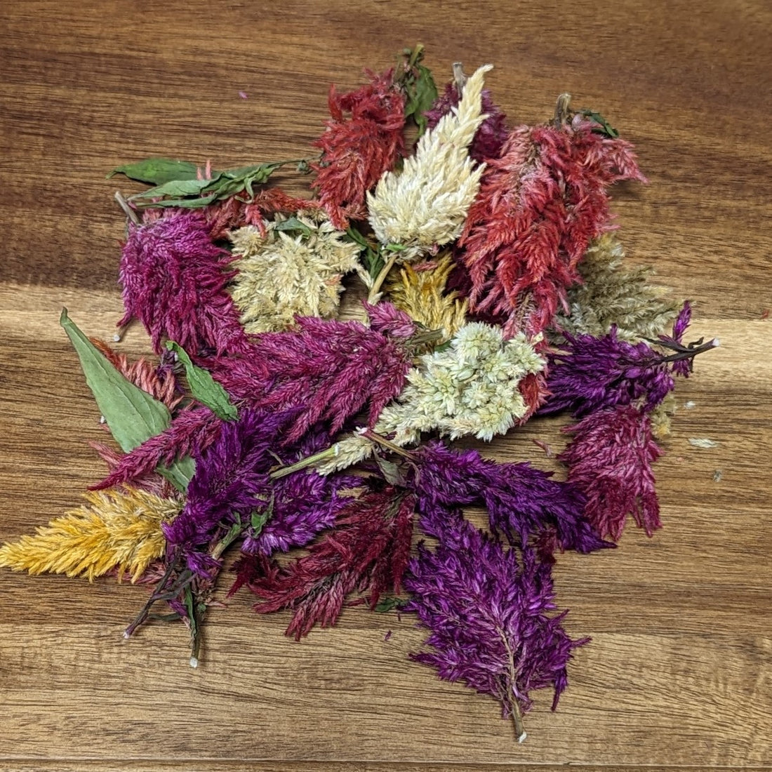 Dried Edible Flowers - Celosia Mix – Cherry Valley Organics