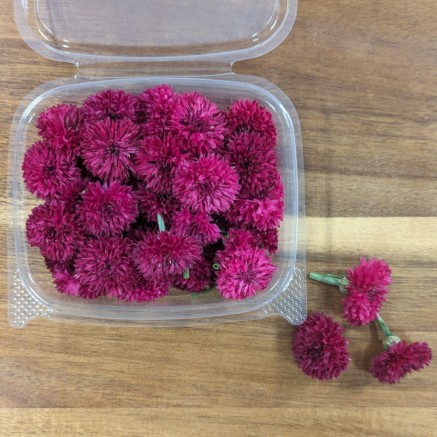 Fresh Edible Flowers - Bachelor Buttons, Red Boy