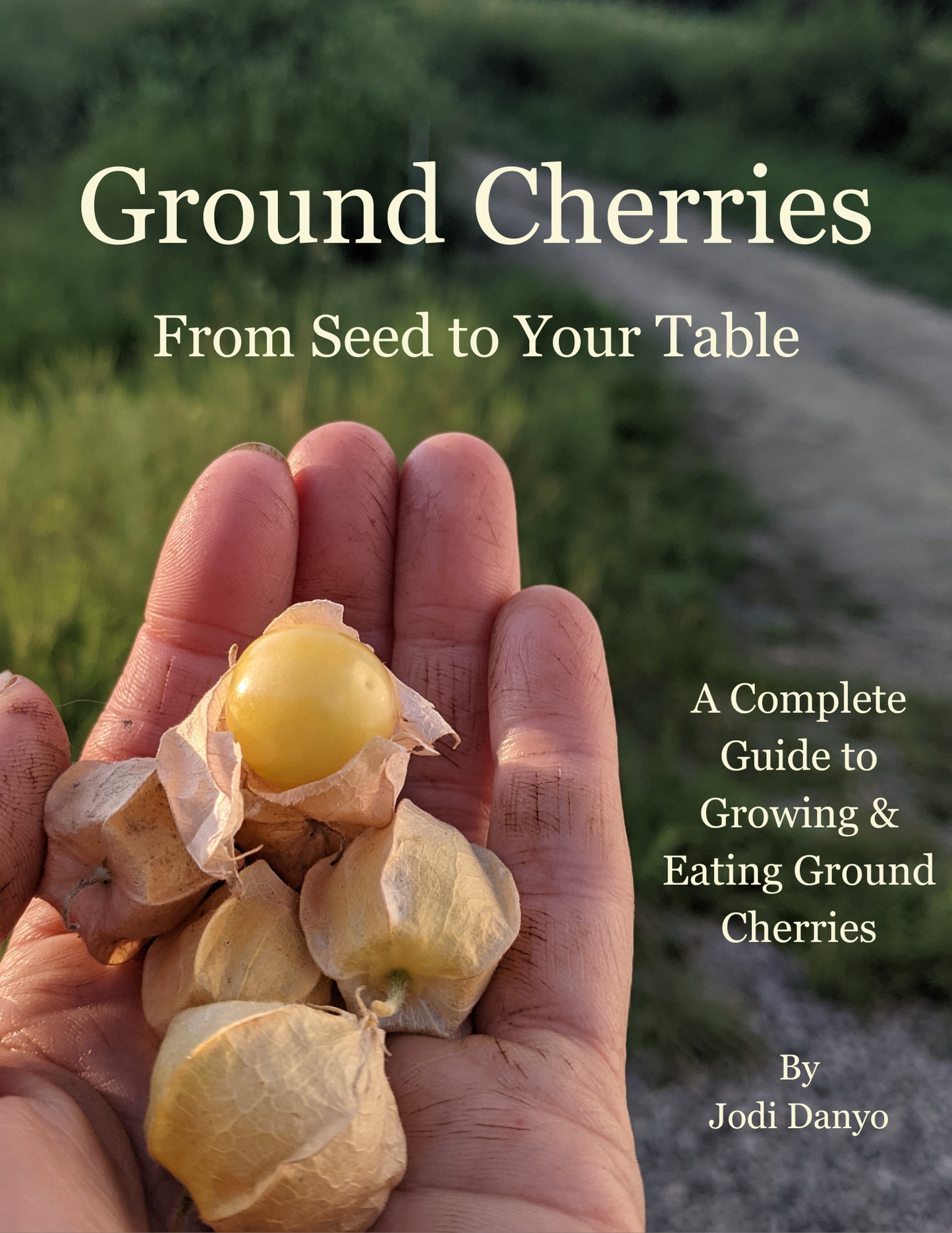Ground Cherries:  From Seed to Your Table
