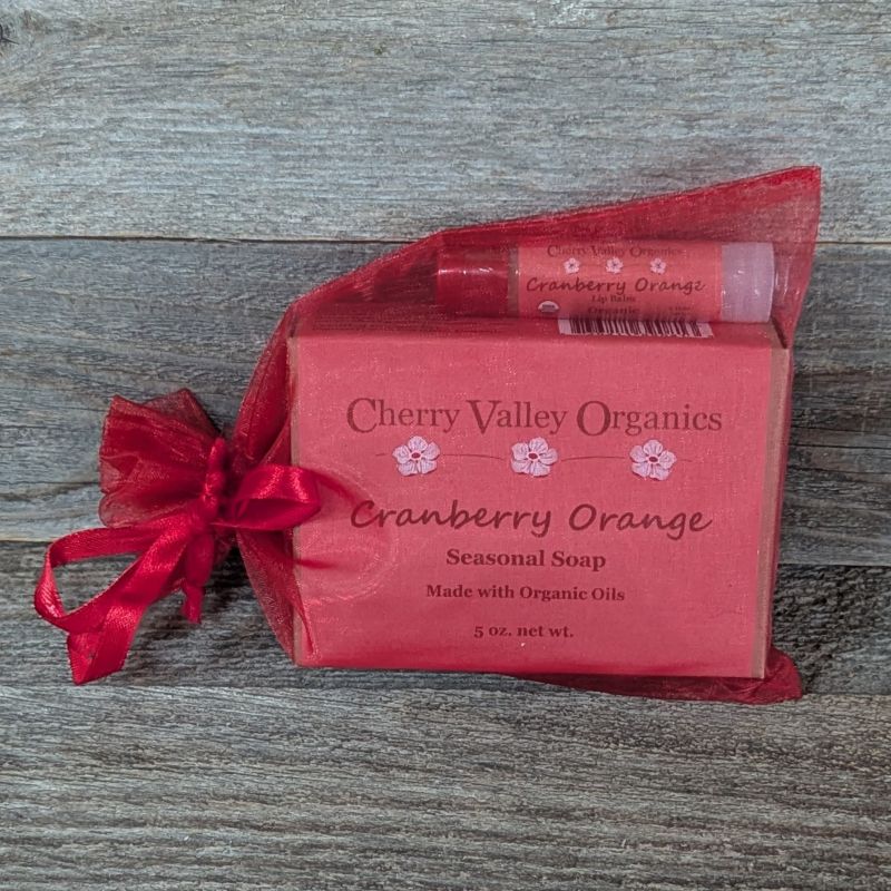 Cranberry Orange Gift Bag