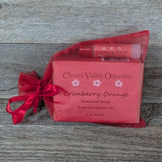 Cranberry Orange Gift Bag