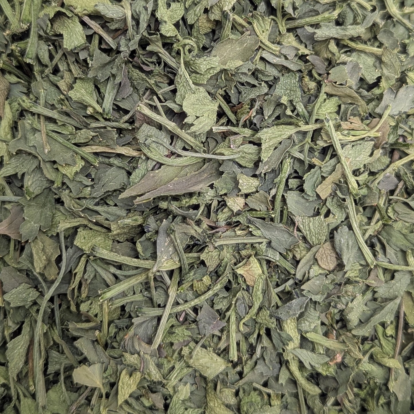 Dried Herbs - Celery Leaf