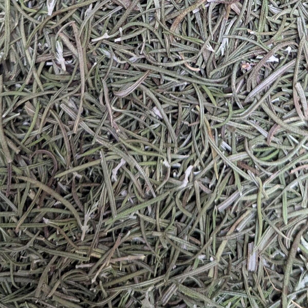 Dried Herbs - Rosemary