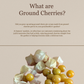 Ground Cherries:  From Seed to Your Table