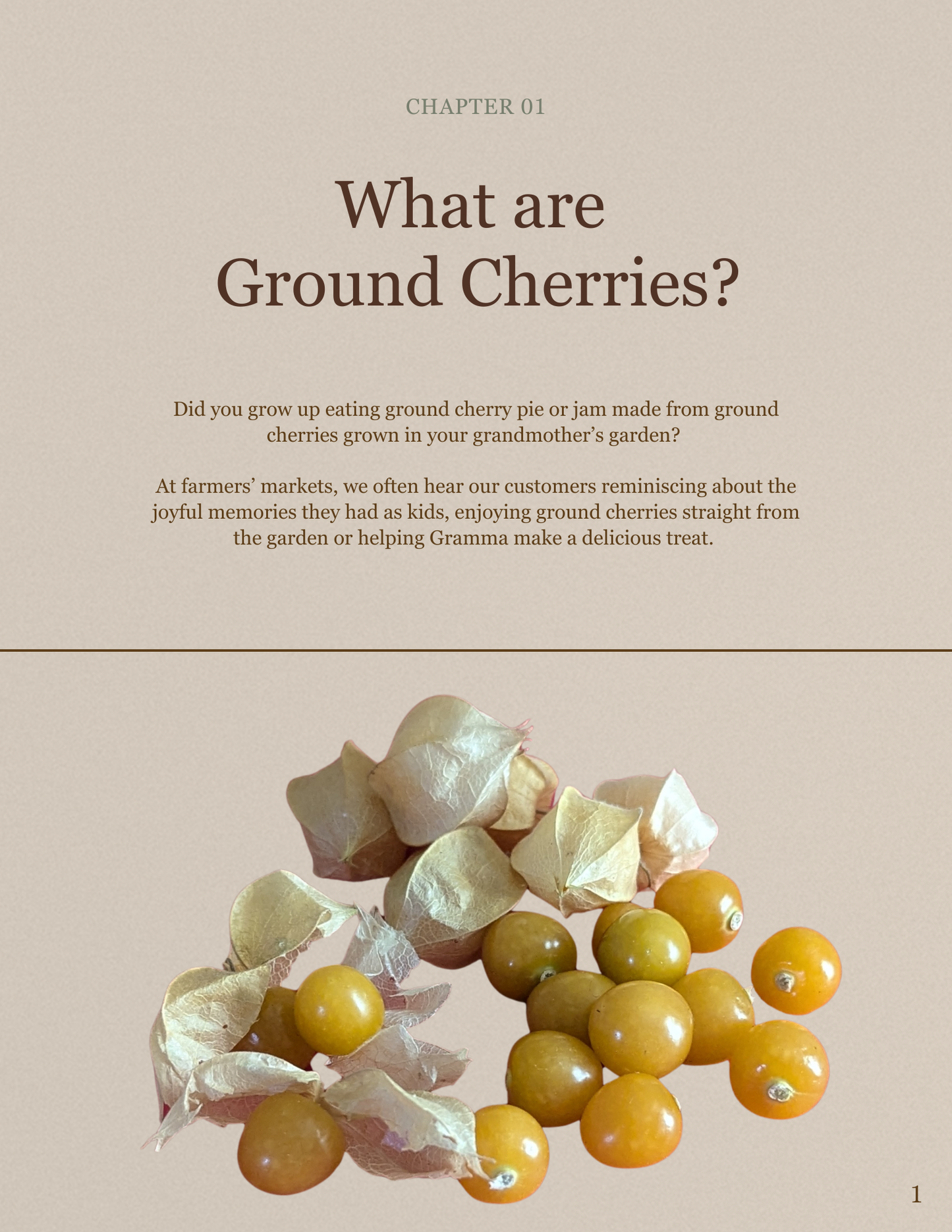 Ground Cherries:  From Seed to Your Table