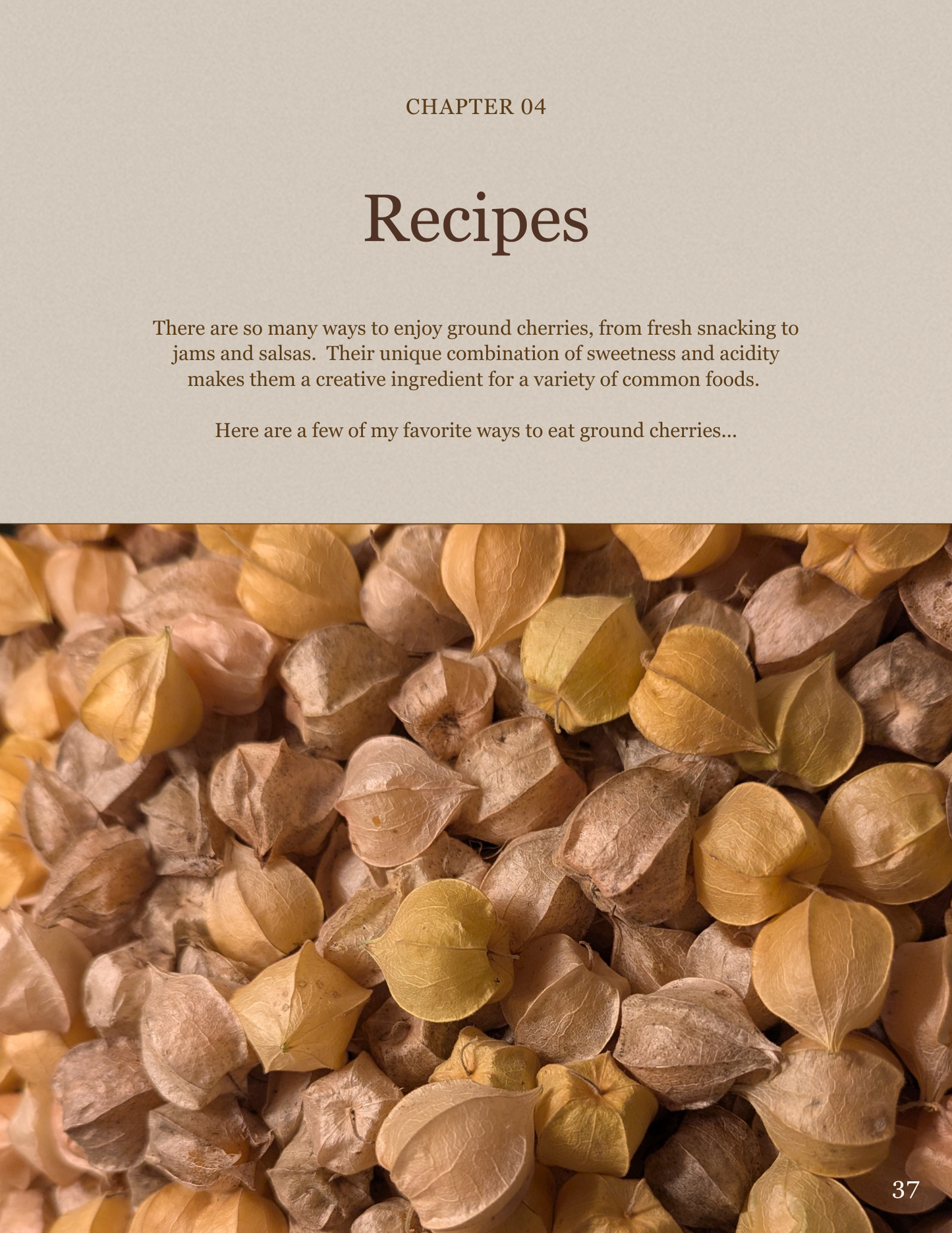 Ground Cherries:  From Seed to Your Table