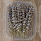 Dried Lavender Sprigs