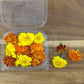 Fresh Edible Flowers - Marigolds, French Mix