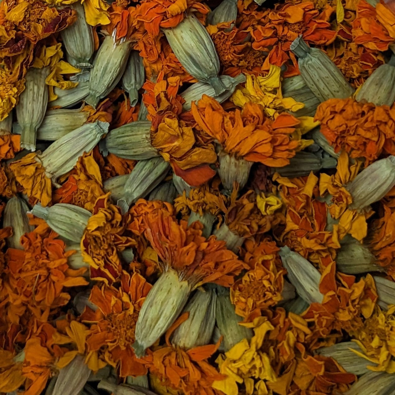 Dried Edible Flowers - Marigold, Mix – Cherry Valley Organics