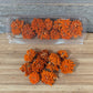 Edible Zinnias for Cake Decorating, Orange