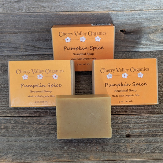 Pumpkin Spice Seasonal Soap