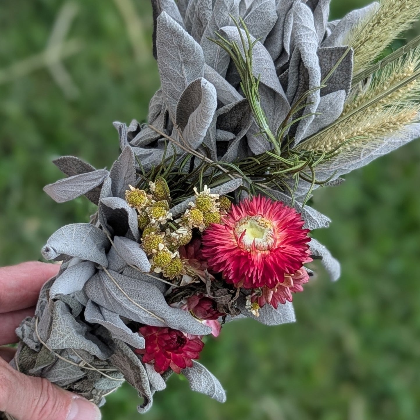 Decorative Sage with Rosemary Smudge