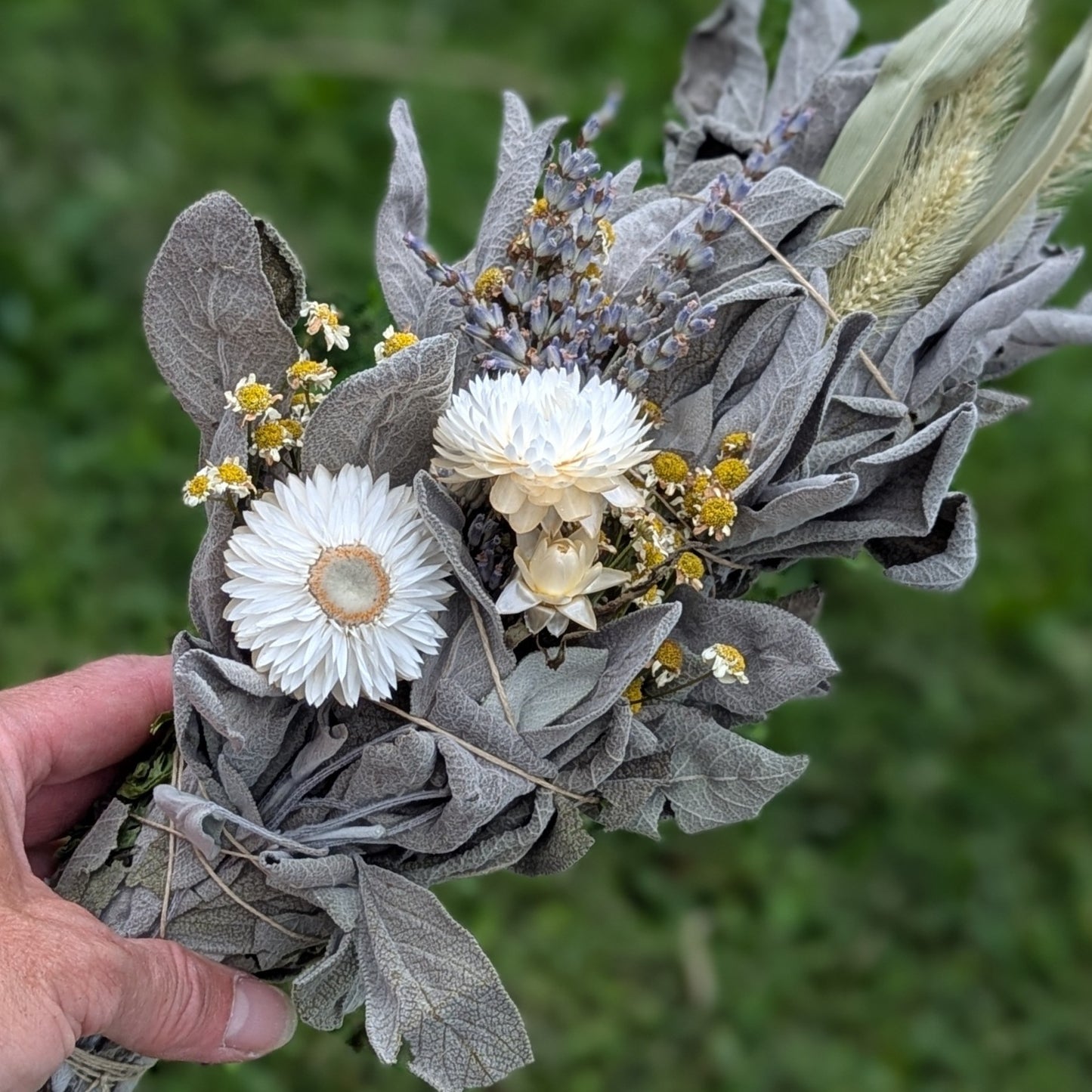 Decorative Sage with Lavender Smudge