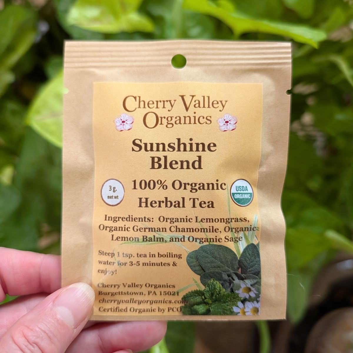 Sunshine Blend Herbal Tea