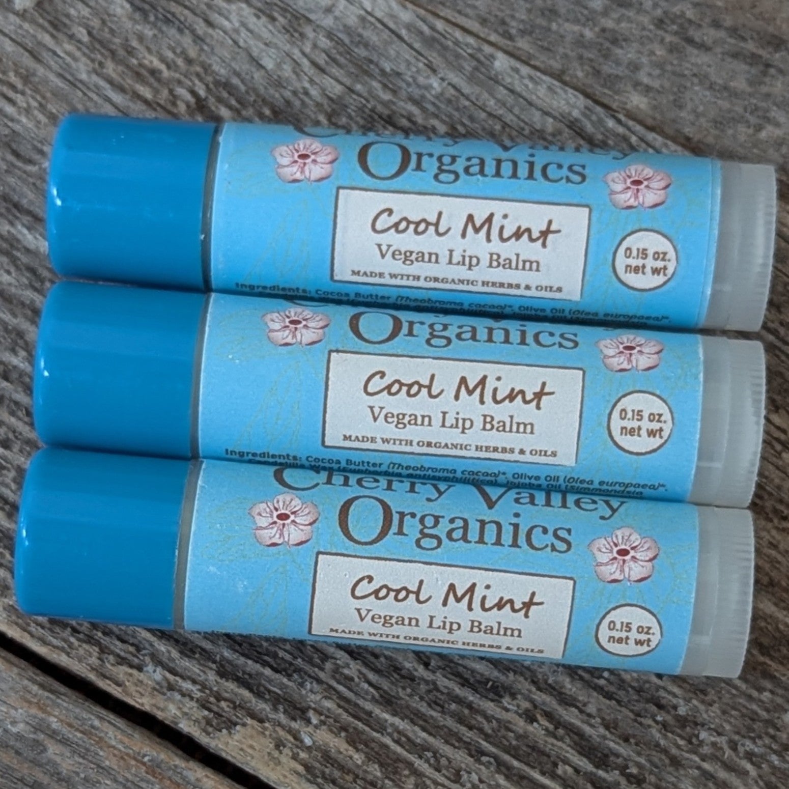 Cool Mint Vegan Lip Balm – Cherry Valley Organics