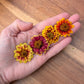 Fresh Edible Flowers - Zinnias, Persian Carpet Mix