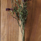 Dried Strawflower, Purple Red