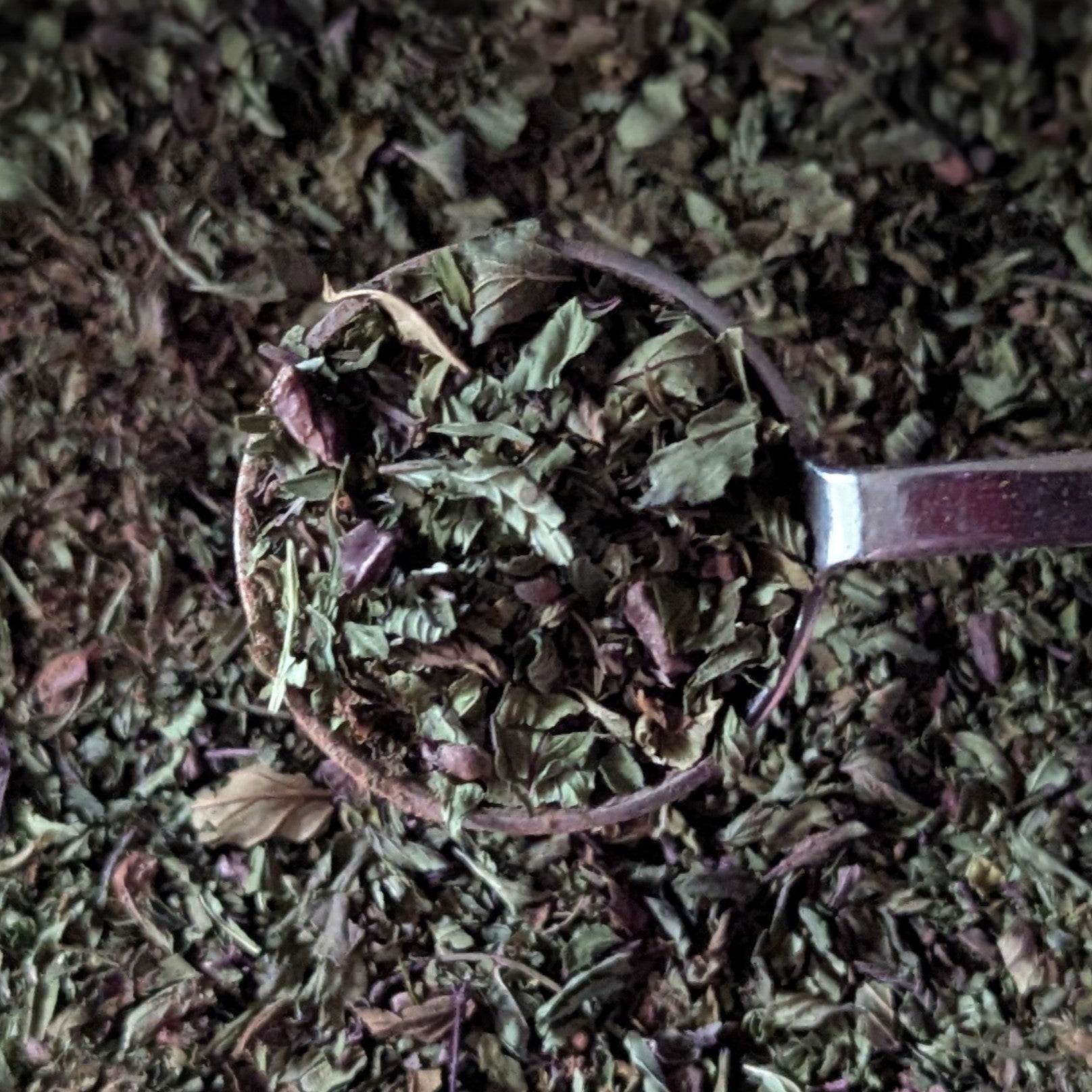 Dark Chocolate Mint Herbal Tea – Cherry Valley Organics