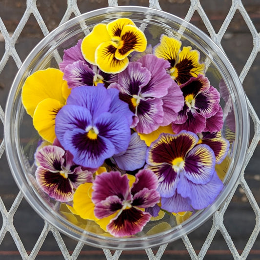 Fresh Edible Flowers - Violas, Frizzle Sizzle Mix