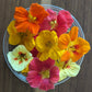 Fresh Edible Flowers - Nasturtiums
