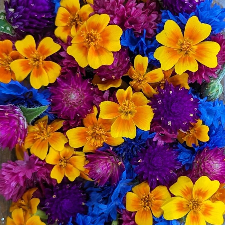 Edible Fresh Flowers Cherry Valley Organics