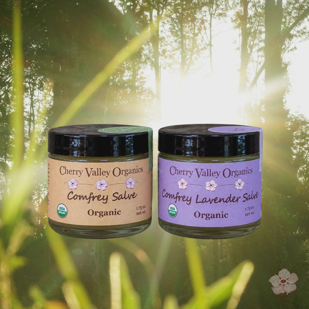 Comfrey Lavender Salve – Cherry Valley Organics