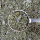 Peppermint Herbal Tea