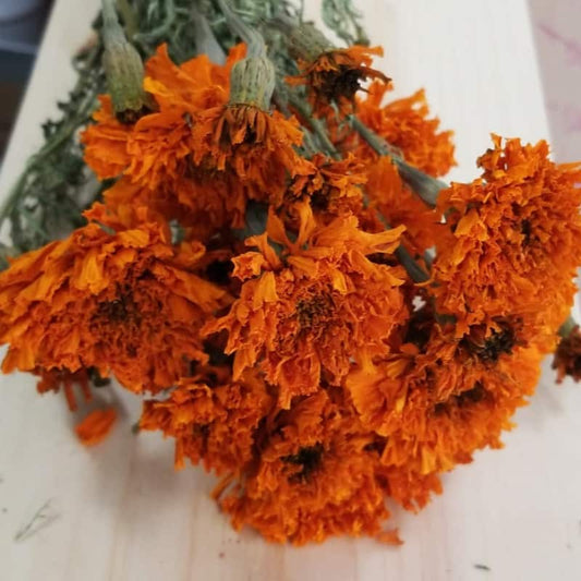 Dried Tagetes (African Marigold) - Cherry Valley Organics