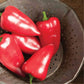 CVO Potted Plants - Sweet Peppers, Apple - Italian Frying - Cherry Valley Organics