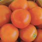 CVO Potted Plants - Heirloom Tomato - Valencia - Cherry Valley Organics