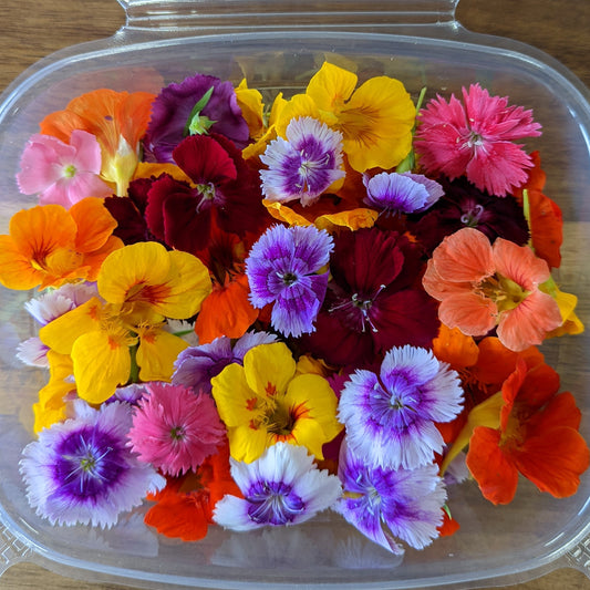 Fresh Edible Flowers - "Delicate" Mix - Cherry Valley Organics