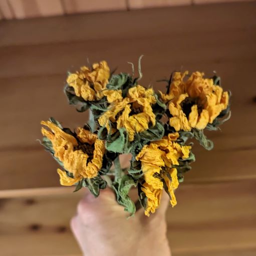 Dried Helianthus (Mini Sunflowers) - Cherry Valley Organics